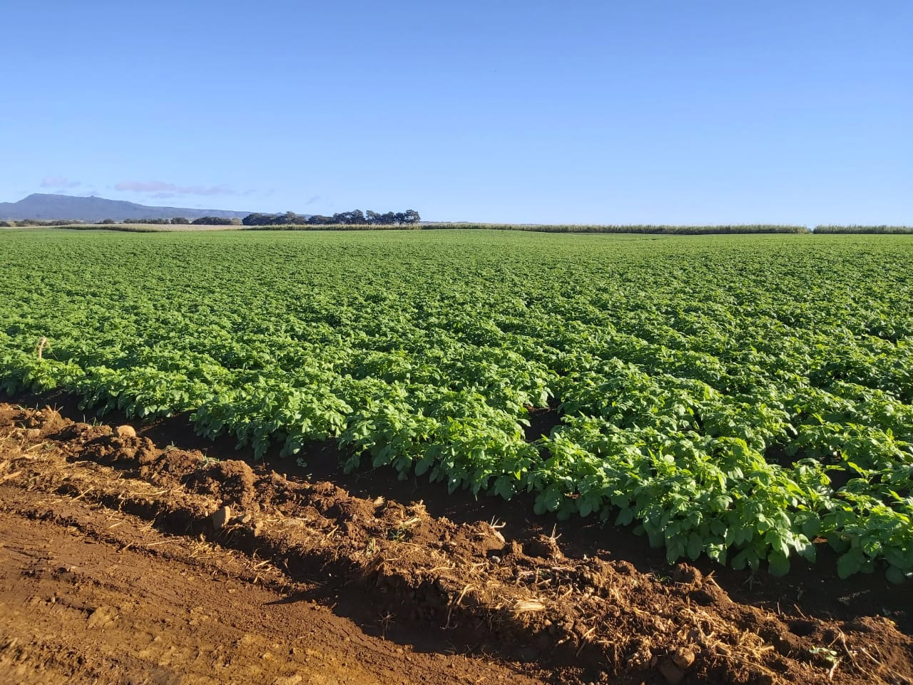 Agri