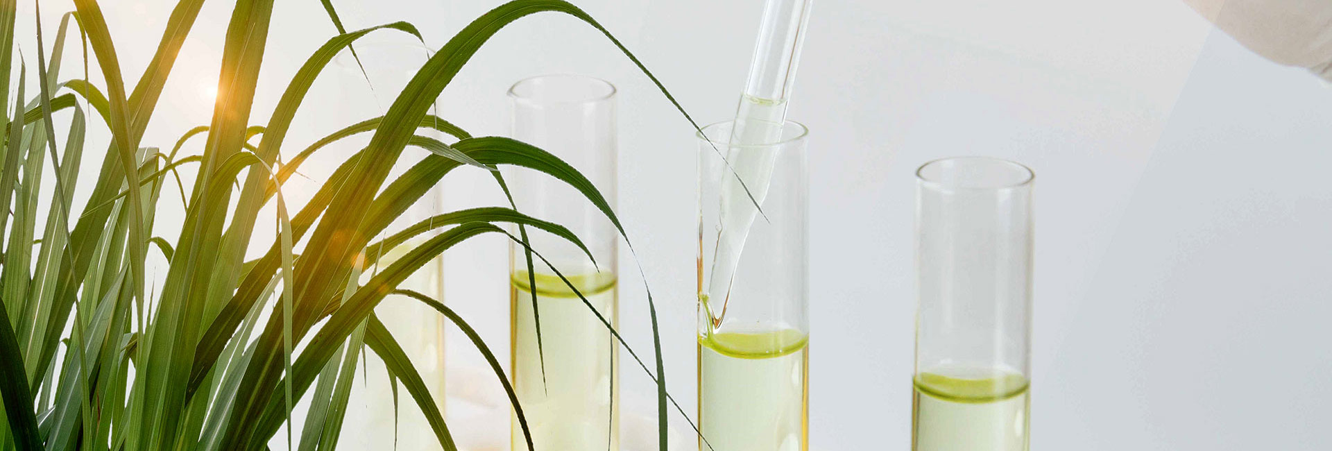 bioethanol