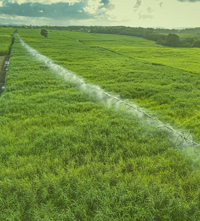 Agri