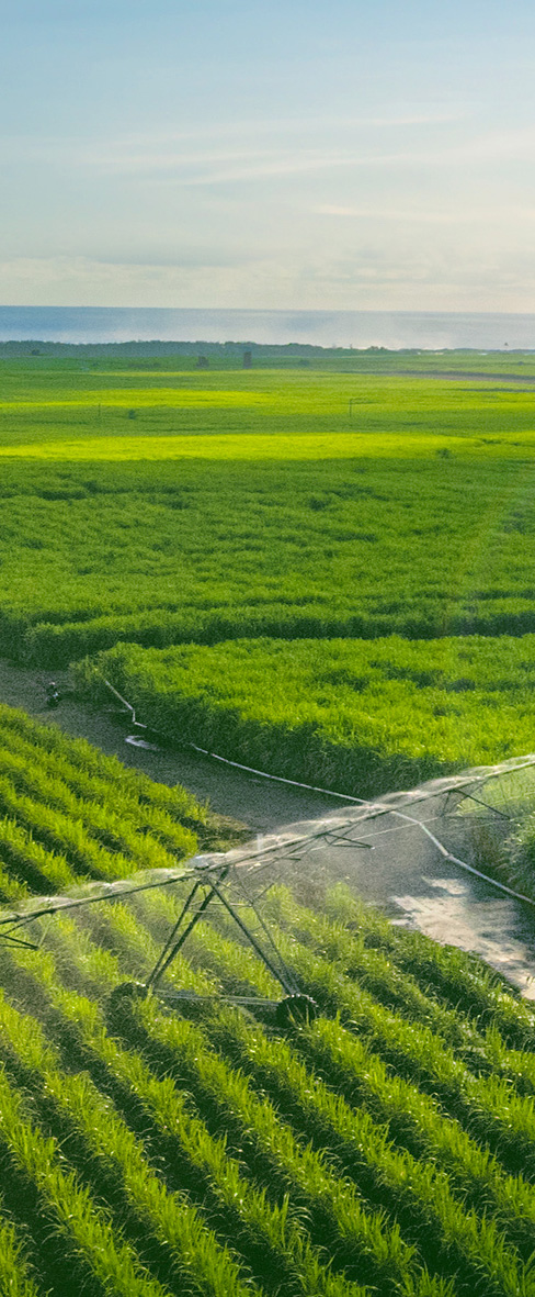 Agro-Industry