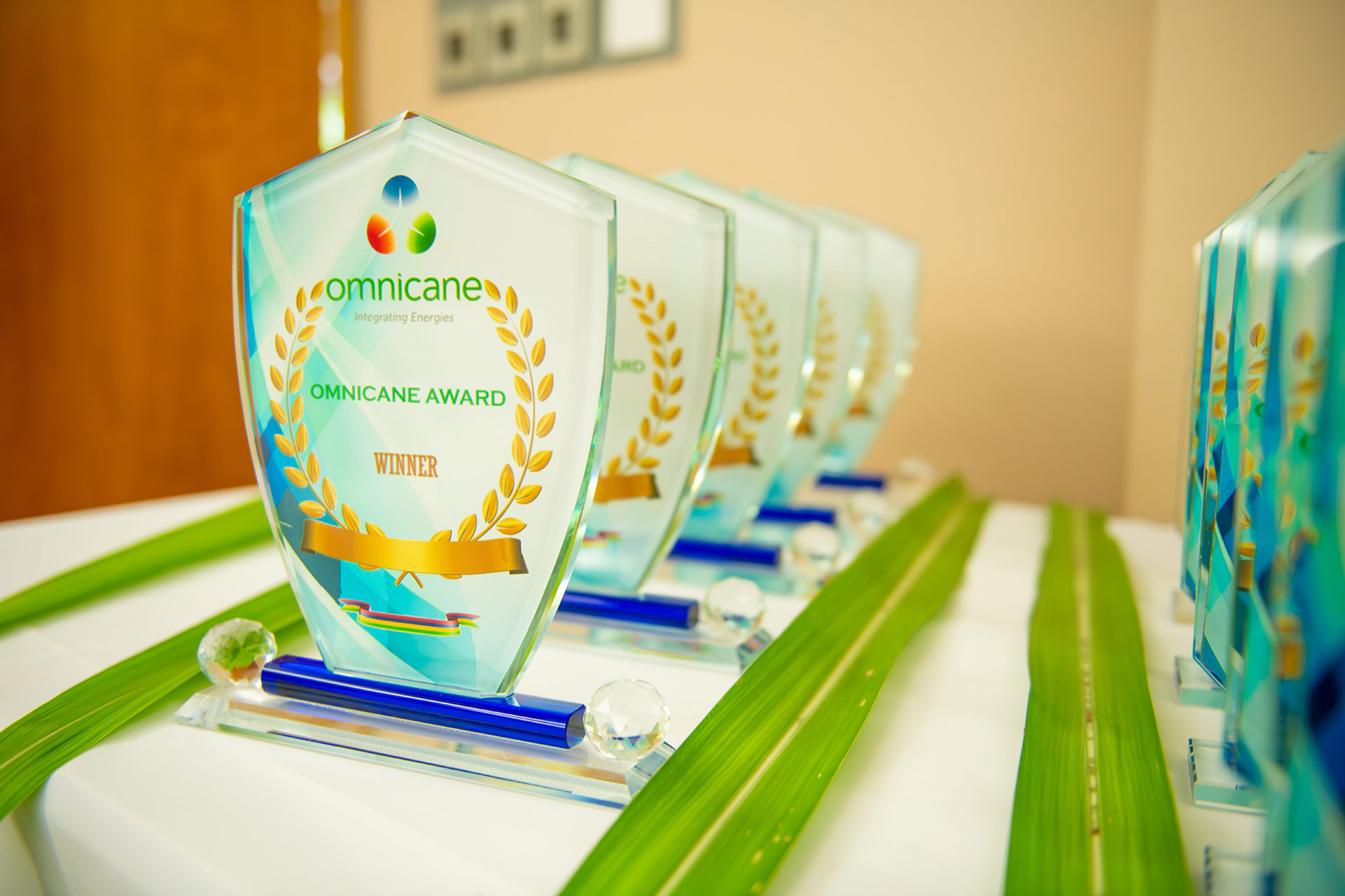 2025 Omnicane Award