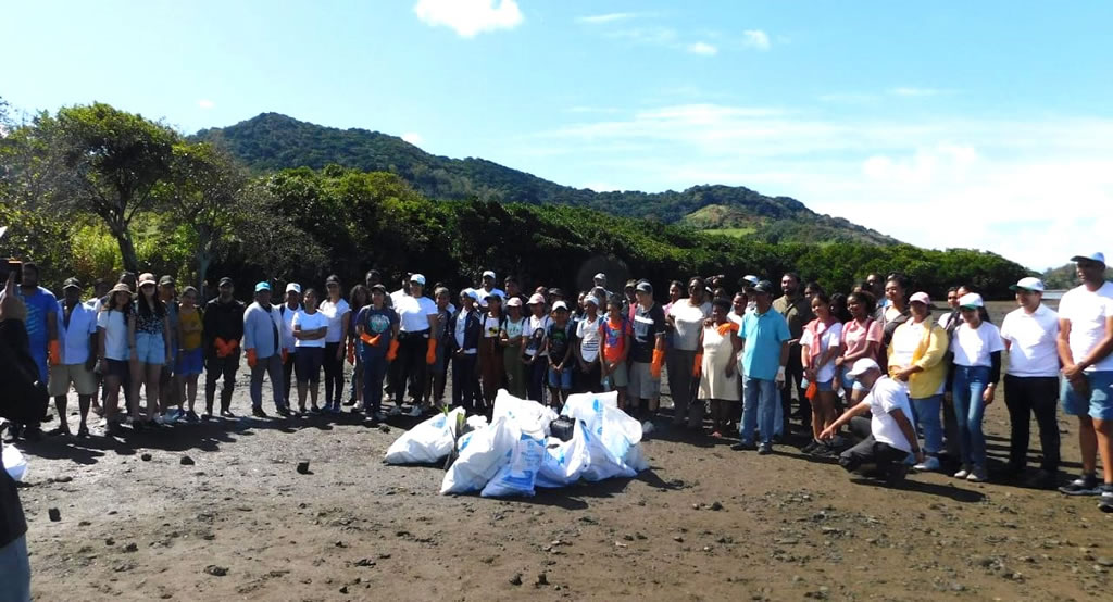 Mangrove Restoration campaign